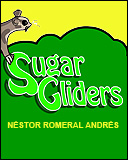 sugargliders